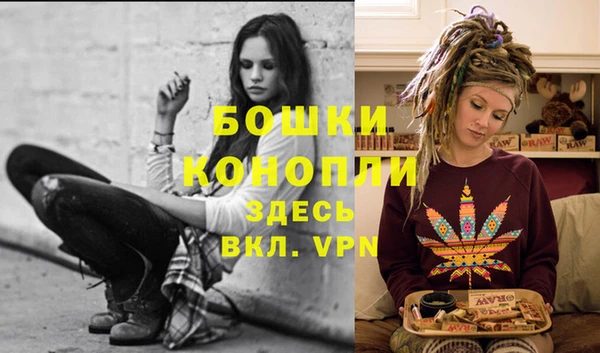 дмт Липки